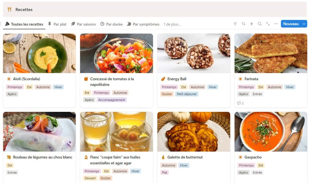application notion pour livre de recettes