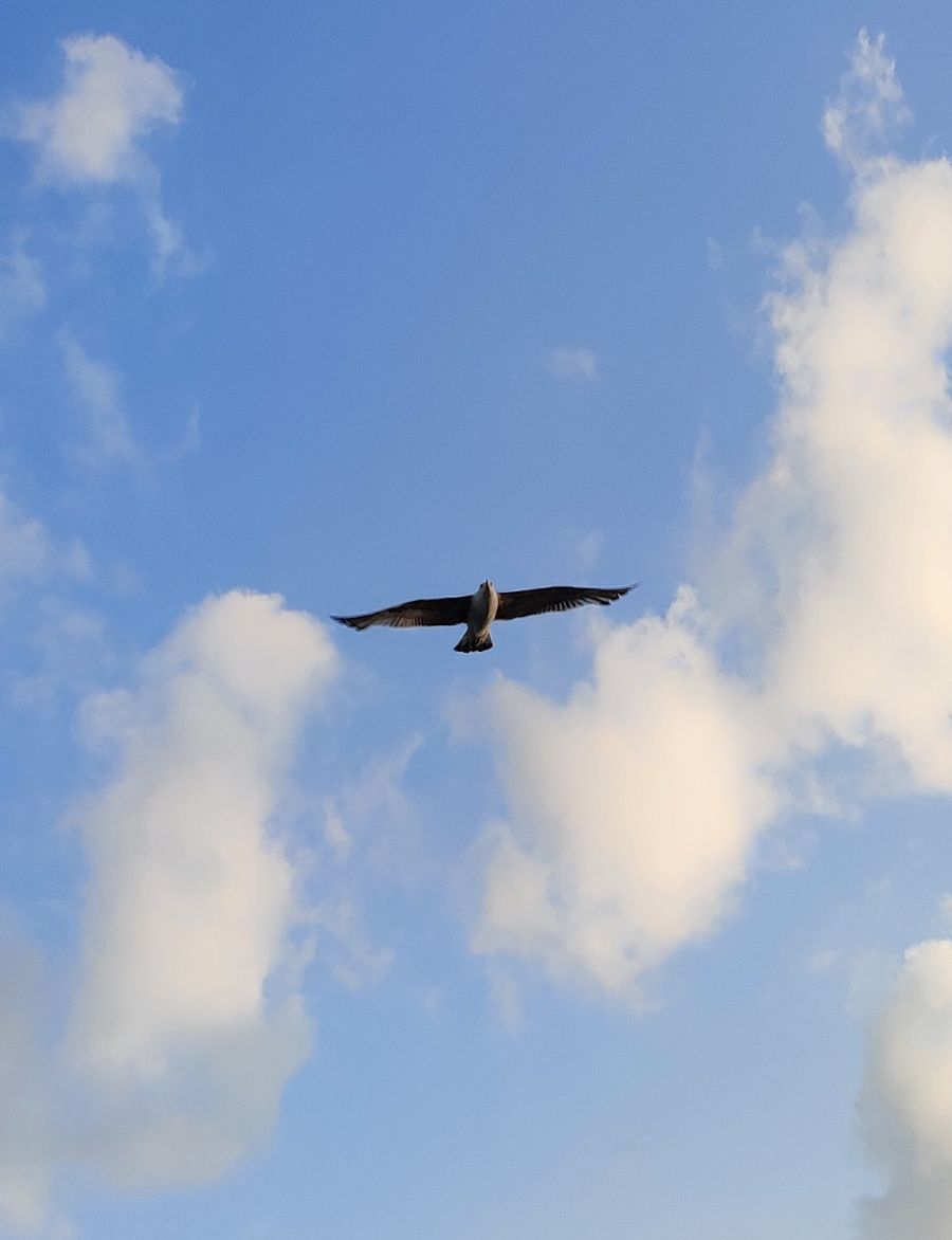 Ciel et oxygène NOUVEAU MOI