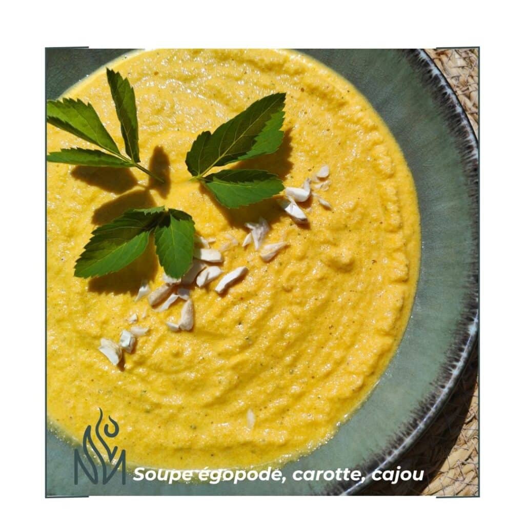Velouté de carotte avec plante égopode