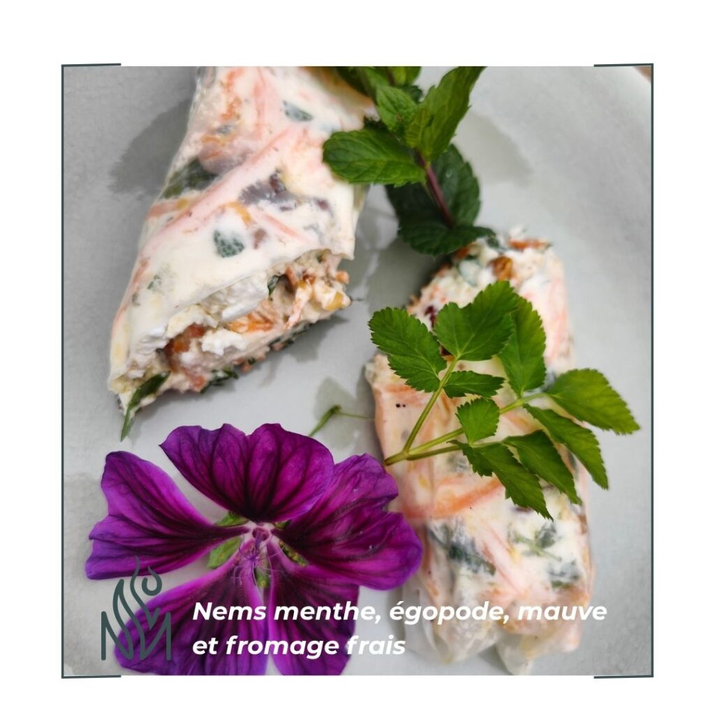 Book cuisine Nouveau Moi saine originale plantes sauvages