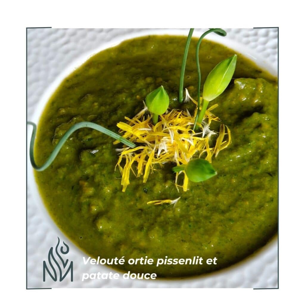 Soupe froide ail des champs et ail des ours et ortie