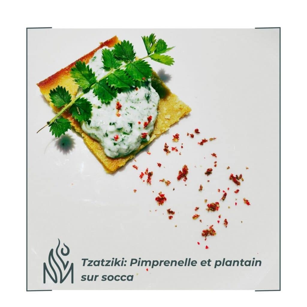Tzatziki de pimprenelle et farinata